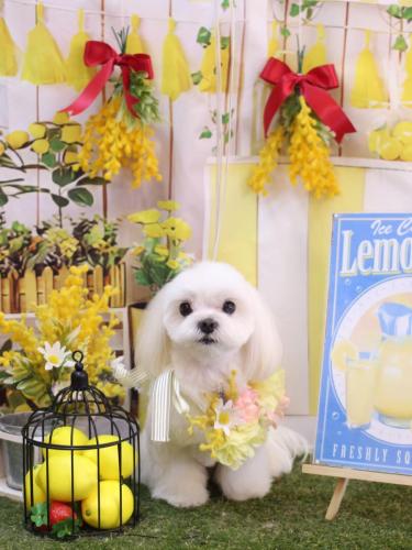 20240429ココくん